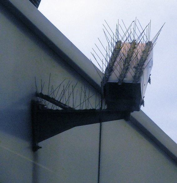 Covert Surveillance Art